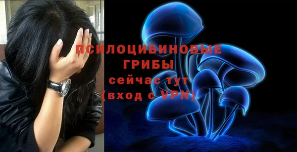 гашик Баксан